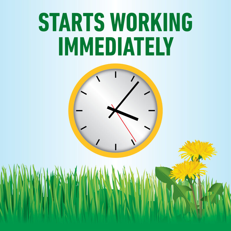 Roundup® For Lawns₁ image number null